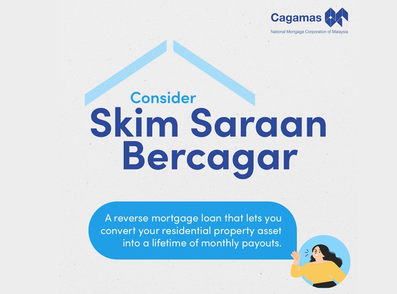 Skim Saraan Bercagar: Overview
